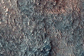 Dune Survey