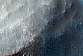 Possible Mafic Spectral Signature on Eastern Flank of Sirenum Mons