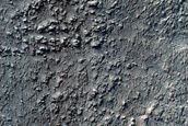 Gullies in Copernicus Crater