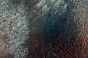 Terrain Sample
