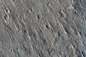 Pitted Cones in Isidis
