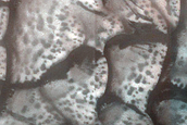 Dune Monitoring in Crater