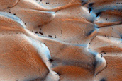 Olympia Cavi Escarpment Dune Field Seasonal Monitoring