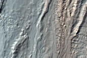Gullied Crater Wall