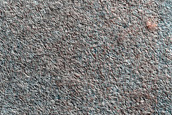 Terrain Sample