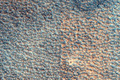 Northern Plains Terrain Sample
