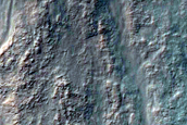 Gully Monitoring