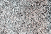 Terrain Sample