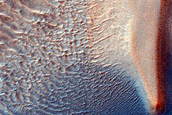 Dust Devil Tracks and Dune Transition