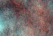 Terrain Sample