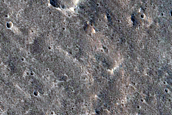 Terrain Sample