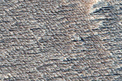Candidate Recent Impact Site