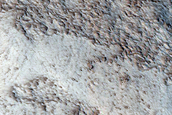 Terrain Sample
