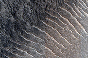 Terrain Sample