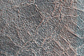 High-Latitude Northern Frost Enhanced Polygons