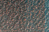 North Polar Layered Deposits Trough