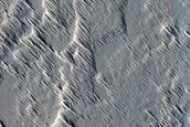 Monitoring New Impact Site