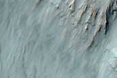 Gully in Crater in Terra Sirenum