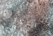 Terrain Sample