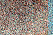 High-Latitude Northern Frost Enhanced Polygons