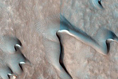Dune Monitoring in Lyot Crater