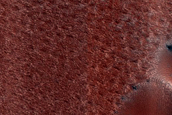 Dust-Raising Event and Streak Monitoring in North Polar Dune Field