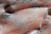 North Polar Gypsum Dunes