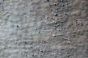 Dunes in Crater in Terra Sirenum