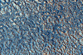 Impact Monitoring in Arcadia Planitia