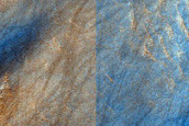 Dune Survey