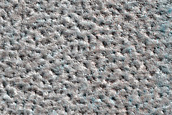 Terrain Sample