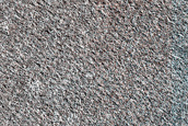Terrain Sample