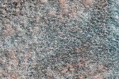 Terrain Sample