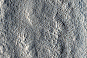 Terrain Sample