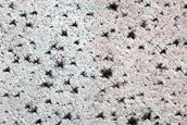 Dunes Dubbed Chusuk