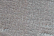 Terrain Sample