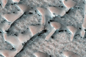 Dunes Shaped Like Ts and vs