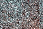 Seasonal Sublimation Observation Site