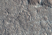 Terrain Sample