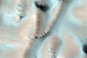 Terrain Sample