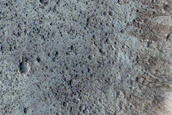 Lycus Sulci