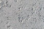 Terrain Sample