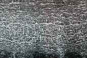 High-Latitude Northern Frost Enhanced Polygons