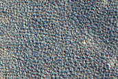 Terrain Sample