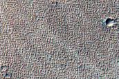 Syria Planum Dust-Raising Event Monitoring Site