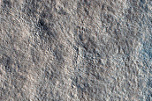 Terrain Sample