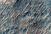 Gullies in High-Latitude Crater