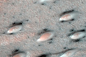 North Polar Duneforms and Frost