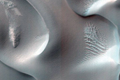 USGS Dune Database Entry Number 0420-423