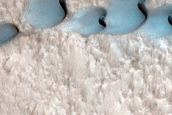 Dune Monitoring in Lyot Crater